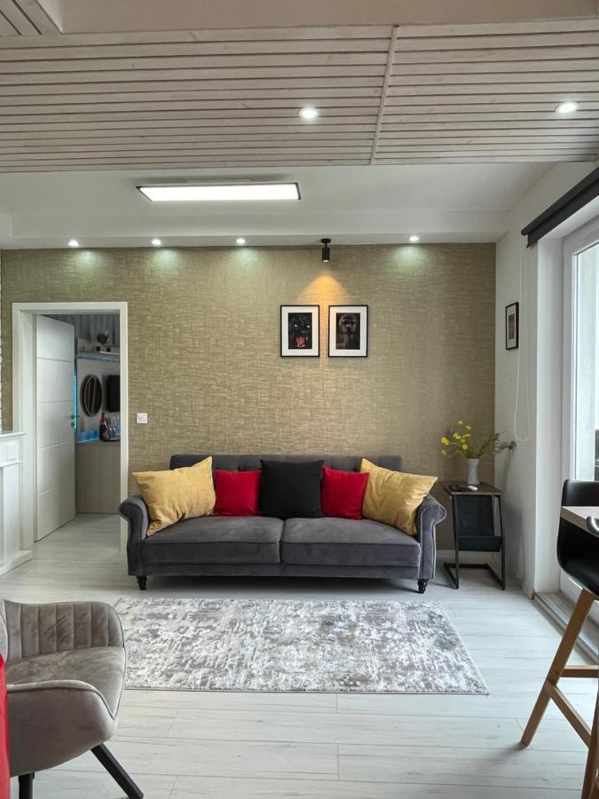 Voyage Cubic Adults Only Lejlighed Sibiu Eksteriør billede