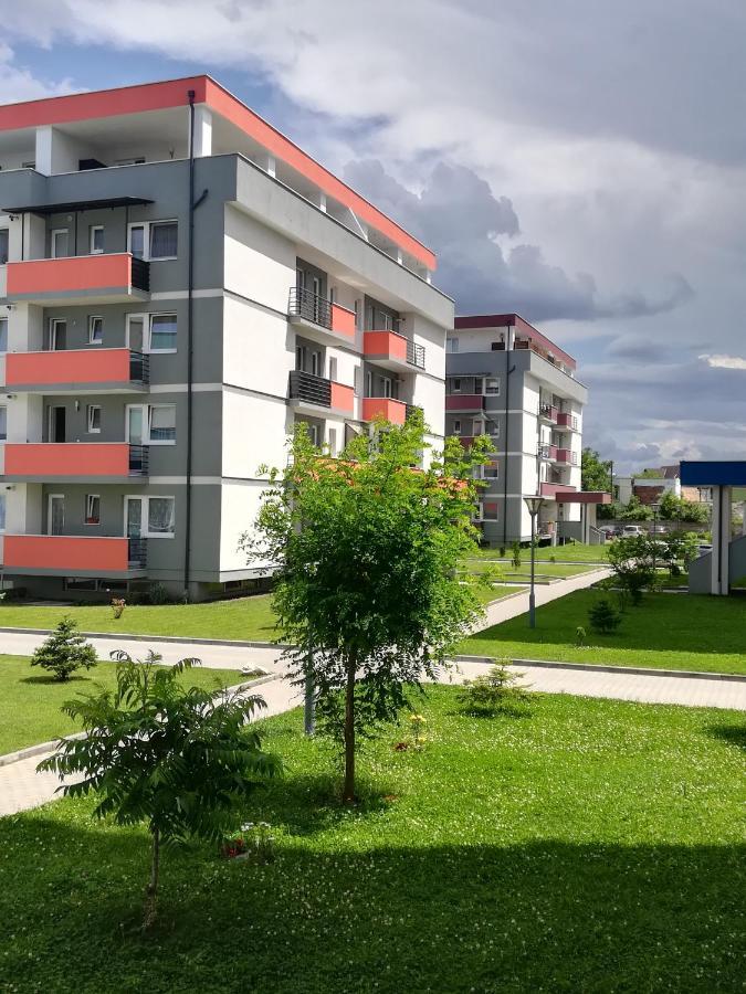 Voyage Cubic Adults Only Lejlighed Sibiu Eksteriør billede