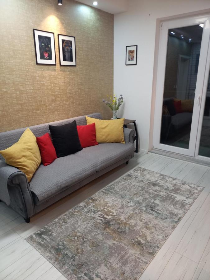 Voyage Cubic Adults Only Lejlighed Sibiu Eksteriør billede